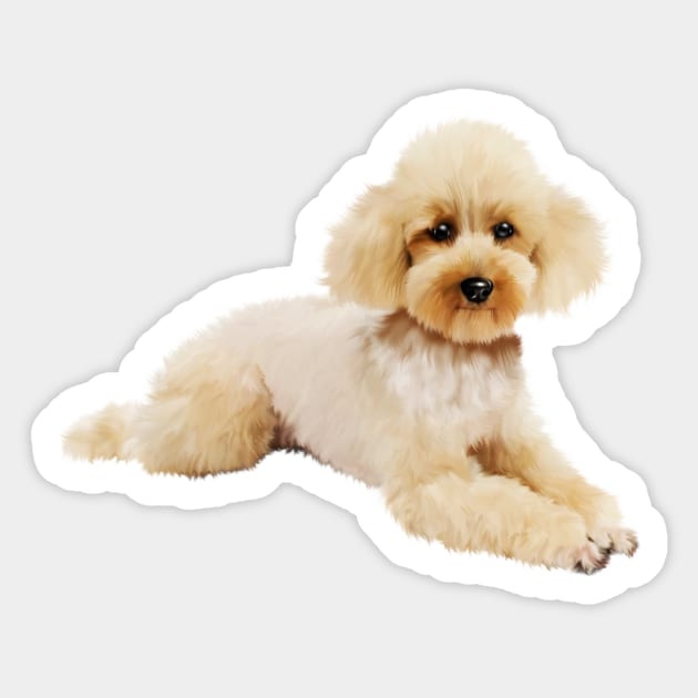 Cute Poodle dog, Love Poodles, Dog Lover Sticker by logiamerch